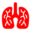 pulmones icon