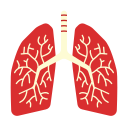 pulmones icon