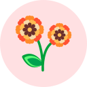 꽃 icon