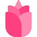 Flower icon