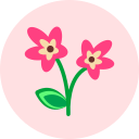 꽃 icon