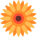 Flower icon