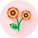 꽃 icon
