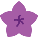 Flower icon