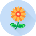 꽃 icon