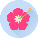 꽃 icon