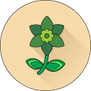 flor icon
