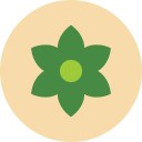 꽃 icon