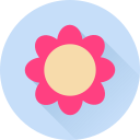 꽃 icon