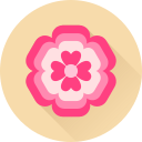 꽃 icon