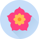 꽃 icon