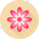 꽃 icon