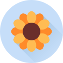 꽃 icon