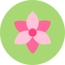 꽃 icon