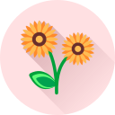 꽃 icon