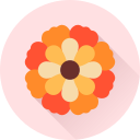 꽃 icon