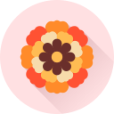 꽃 icon