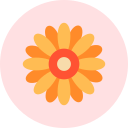 flor icon