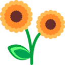 Цветок icon