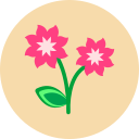 flor icon