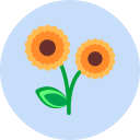 flor icon