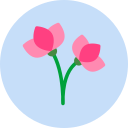 flor icon