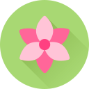 꽃 icon