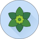 flor icon
