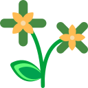 Цветок icon