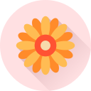 Цветок icon