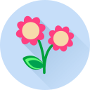 Цветок icon