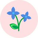 flor icon