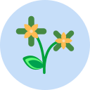 flor icon