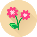 Цветок icon