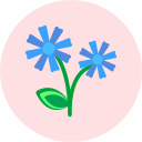 flor icon