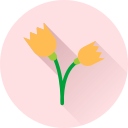 Цветок icon