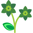 Цветок icon