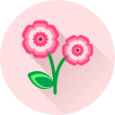 Цветок icon
