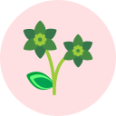 flor icon