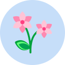 flor icon