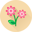 Цветок icon