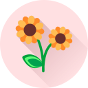 Цветок icon