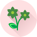 Цветок icon