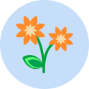 flor icon