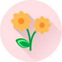 Цветок icon