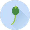Цветок icon