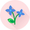 Цветок icon
