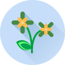 Цветок icon