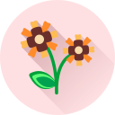 Цветок icon
