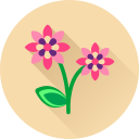 Цветок icon